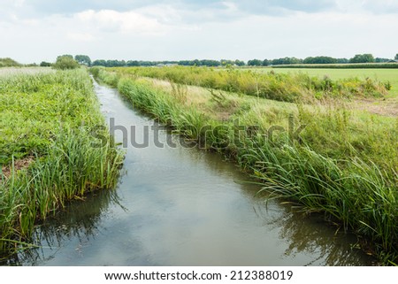 Polder landscape in the Netherlands diagonally bisected by a ditch with reeds on the waterfront.