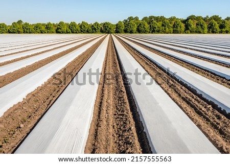 Image, Stock Photo agricultural field covered with snow