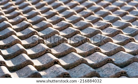 Closeup of a tiled roof in early morning light.