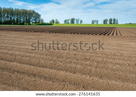 Lines of recently sown potatoes in a rural Dutch landscape. The rain has just passed.