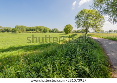 Colorful landscape with fresh growing and blooming plants in the spring season.