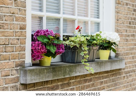 Freestone window sill of a historical house with colorful blooming plants in pots.