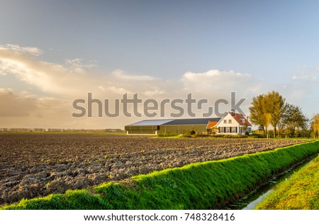 Modern Dutch farmhouse with barns in late afternoon light on a sunny day in the early autumn season. Stock foto © 
