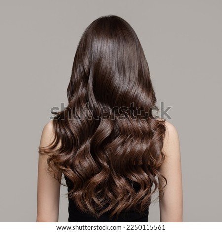 Portrait of a beautiful girl with luxurious curly long hair. Back view. Stock foto © 