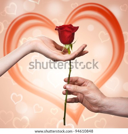 man's hand giving a rose to a woman who carefuly takes it