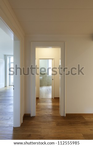 interior empty house with wooden floor, passage