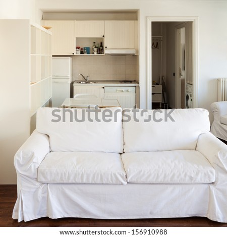 Interior, small apartment, room view, white divan