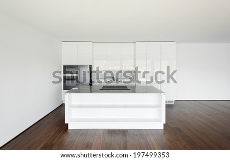 beautiful empty apartment, hardwood floor, modern kitchen