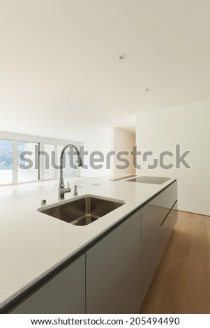 beautiful empty apartment, modern kitchen view
