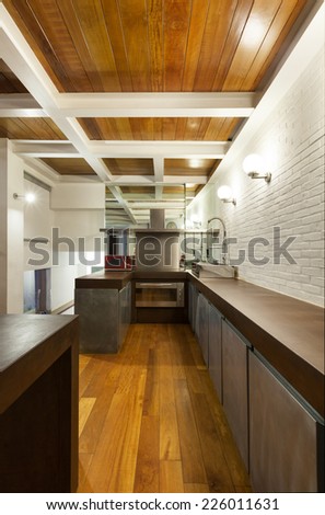 Architecture, wide loft , domestic kitchen view