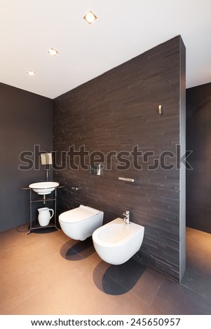 Architecture, modern apartment, comfortable bathroom