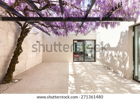 architecture, modern house, beautiful veranda with wisteria