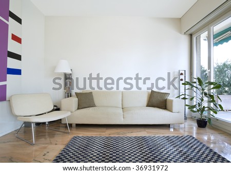 cozy modern flat