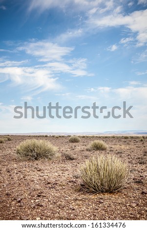 Generic desert scene with blue sky - portrait exterior