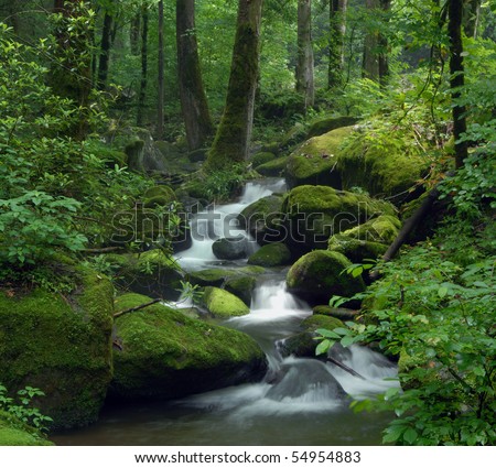 Similar – Image, Stock Photo Green forest and water aerial top view, copy space