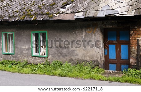 Vintage house with a dog at the window