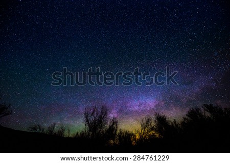 Milkyway rising over the trees - Night Landscapes