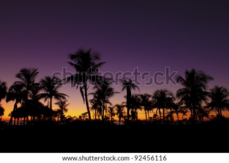Palm trees silhouettes reflection in the water against beautiful night sky