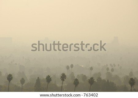Palm Trees and distant buildings in Los Angeles smog.