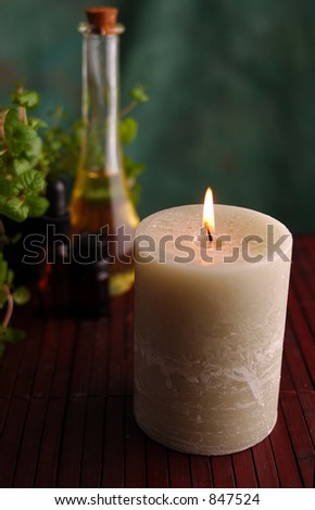 Burning candle with a plant and bottles of oil