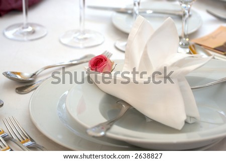 Napkin in the plate - wedding dinner
