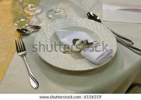 Table setting with a plate and a napkin (wedding dinner)