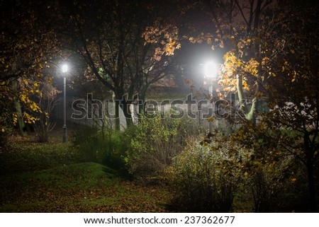 Creepy dark park at night with illumination