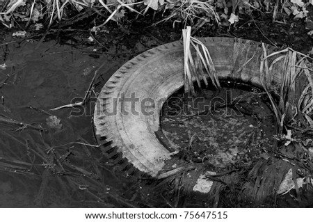 Large truck tire dumped in the water in black and white