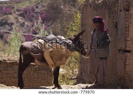 Afghan Man With Donkey