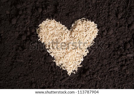 A pile of rice in the shape of a heart sits on a bed of dirt.
