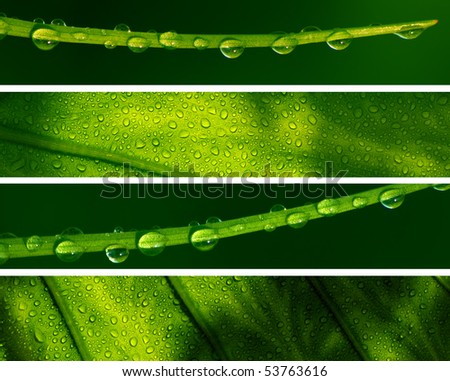 Banners - Water Drops in Nature