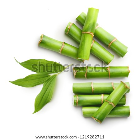 Branches Bamboo