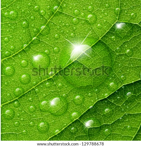 Similar – Image, Stock Photo Abstract green foliage background.