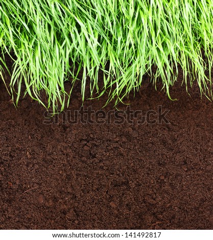 Green grass and soil pattern background.