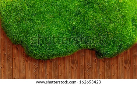 Green grass and soil on wooden pattern background.