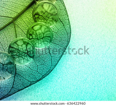 Green Leaf