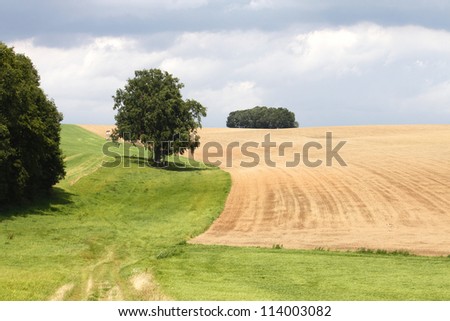 nature landscape field agriculture season summer hill tree