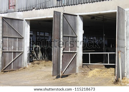 cow stable agriculture