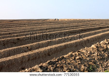 brown soil agriculture land and blue sky