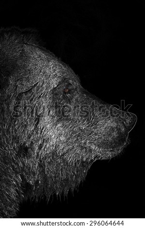 Artistic intent; white on black sketch of a brown bear profile with brown color in the eye; full face profile