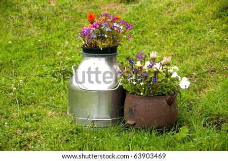 Flower Containers on Lawn