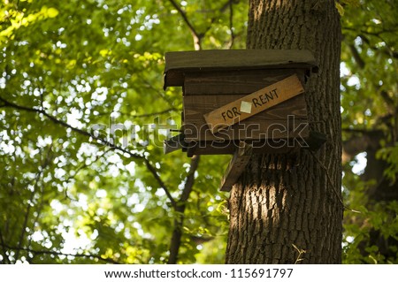 bird house for rent