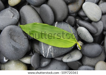 zen stones and leaf with water drops