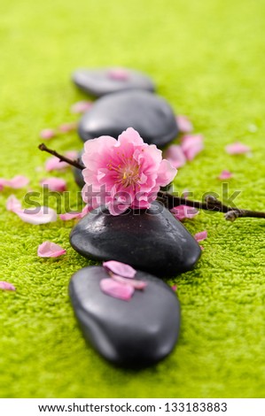 flowering pink quince blossom with row of stones green towel