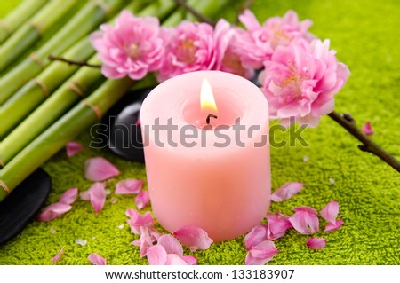 branch of cherries flowers blossom with candle, bamboo grove on green soft towel