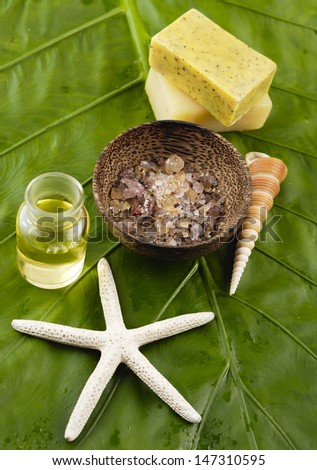 Sea stars and soap ,salt in bowl ,shell, oil on green leaf