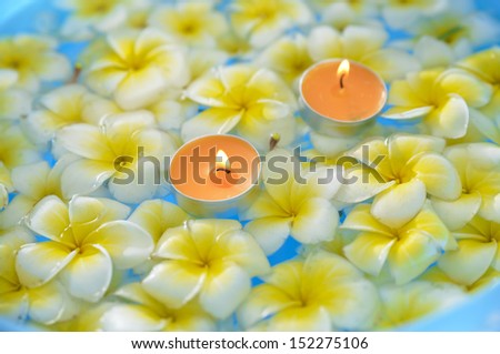 Many frangipani with orange candle in the water