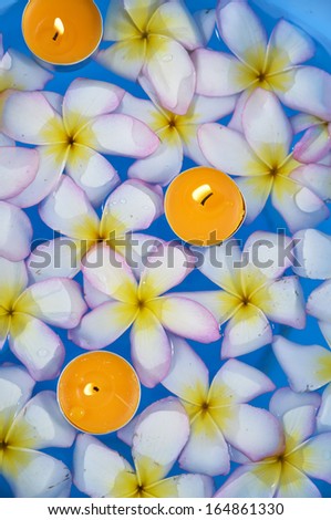 Frangipani flowers in the water with three orange candle