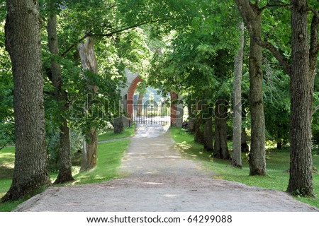 Tree-lined road leading to the manor gate