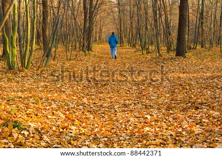 man walking about autumn forest
